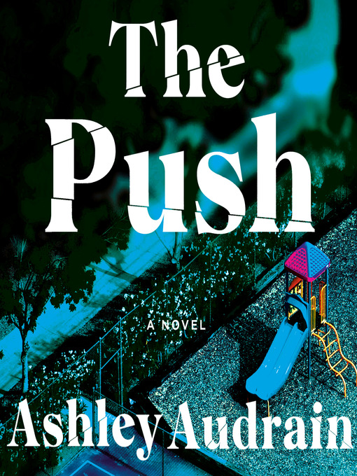 Title details for The Push by Ashley Audrain - Wait list